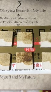 黄瀬戸のテストピース、、、