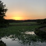 これからですね、、、、、