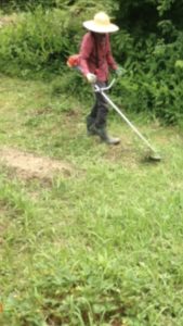 梅雨の合間の晴れに、、、、、