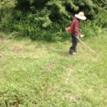 農作業の動画をアップ、、、、、、