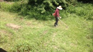 農作業の動画をアップ、、、、、、