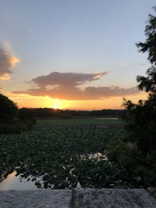 いまは体力か、、、、