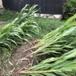 台風の影響は、、、、、