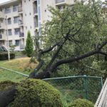 なんとか無事通過する、、、、