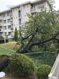 なんとか無事通過する、、、、