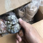 これからも続く、、、、、