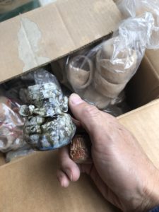 これからも続く、、、、、