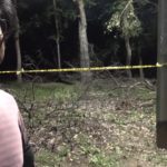 復活のウォーキング、、、、、