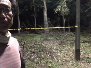 復活のウォーキング、、、、、