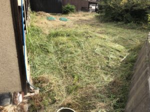 今日は農作業を、、、、、