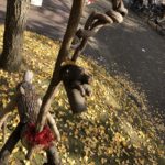 ホントに12月かな、、、、