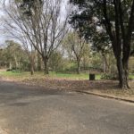 お昼のウォーキングに、、、、