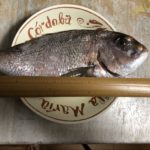 釣果は、、、、、