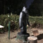 続いているウォーキング、、、、、