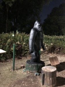 続いているウォーキング、、、、、