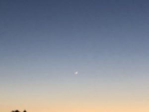 ゆとりで見上げる、、、、