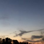 行ってきました、、、、、