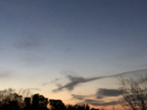 行ってきました、、、、、