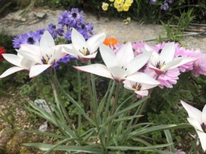 同じ堺市でも、、、、