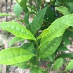 もう少し余裕があるように、、、、、