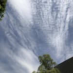 手を合わせに、、、、