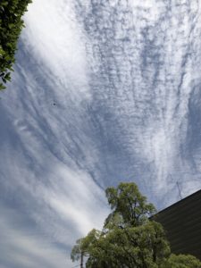 手を合わせに、、、、