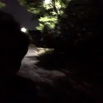 今日もラン、、、、、