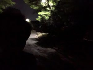 今日もラン、、、、、