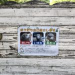 大泉緑地(こうえん)は、、、