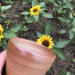 この季節になると、、、、、、