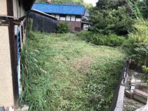 気になっていたが、、、、、、、