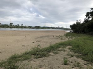 陶芸 陶片 大阪 淀川へ、、、、、、