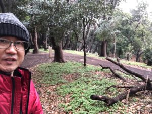 いまだに台風の爪痕が、、、、、、