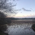 新年になり、、、、、、、、