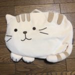 茶トラの湯たんぽ、、、、、