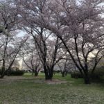 早朝ウォーキングに、、、、、、