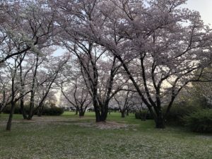 早朝ウォーキングに、、、、、、