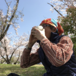 ボッチ花見とボッチ野点、、、、、