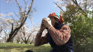 ボッチ花見とボッチ野点、、、、、
