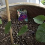 父からのメッセージとは、、、、、