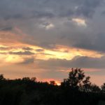 最近はよく雨が降る、、、、