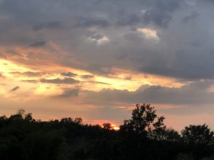 最近はよく雨が降る、、、、