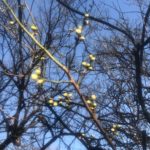 ５０代に、、、、、