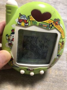 育てています、、、、、