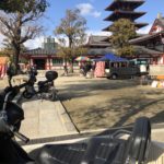 目の保養になるか、、、、、