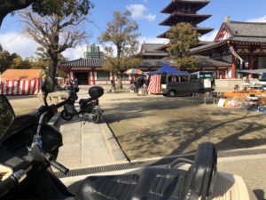 目の保養になるか、、、、、