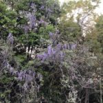 G.Wが終わって、、、、、