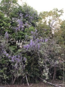 G.Wが終わって、、、、、