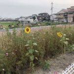 こんな季節感も、、、、、