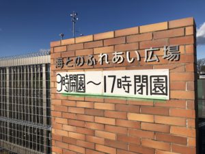 最近はここで憩いの場として、、、、、、